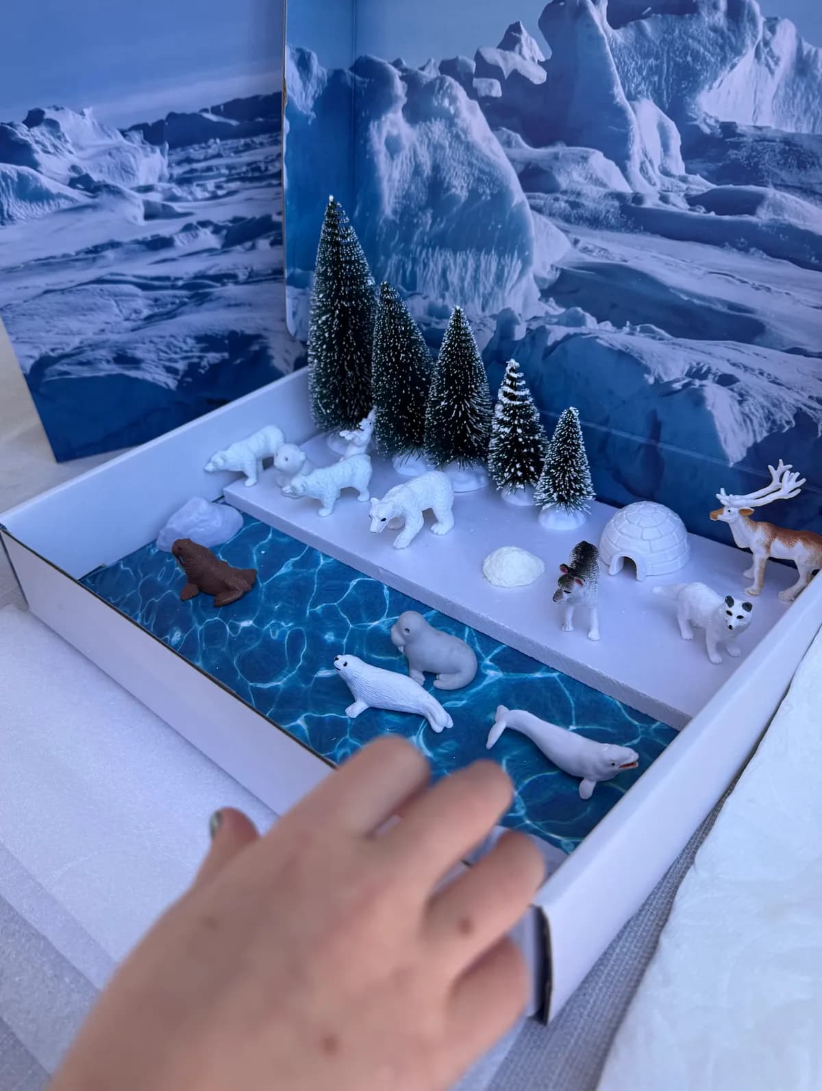 Жители Арктики. Для детй 4-7 лет
